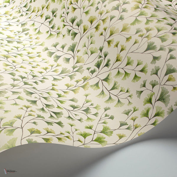 Maidenhair behang in Olive Green van Cole & Son