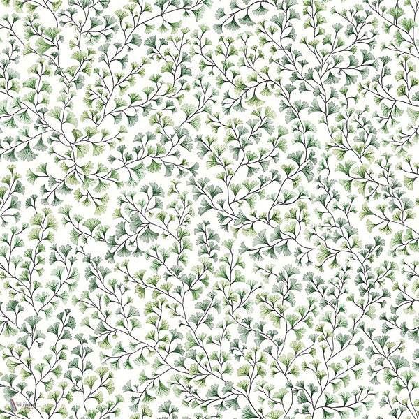 Maidenhair behang in Olive Green van Cole & Son