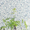 Maidenhair behang van Cole & Son — interieur
