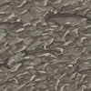 Melville behang in Charcoal & Metallic Silver van Cole & Son