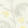 Mimosa Tapete in Canary Yellow & Soft Olive on Parchment von Cole & Son