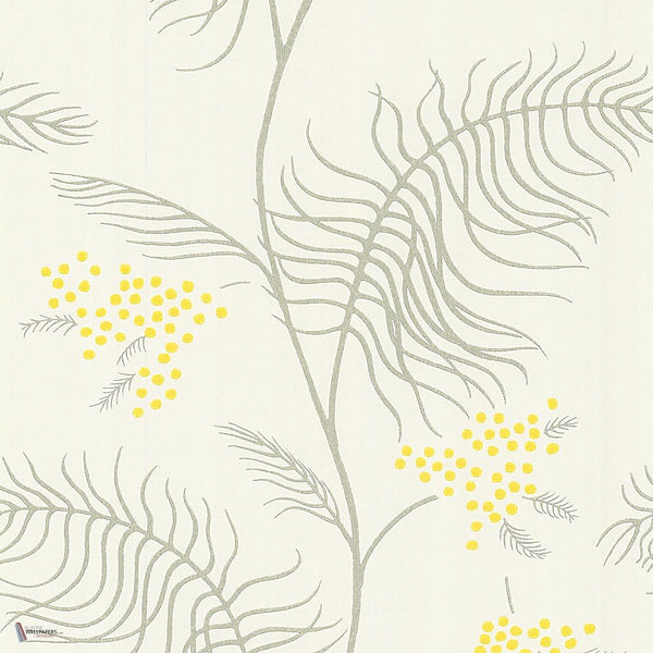 Mimosa Tapete in Canary Yellow & Soft Olive on Parchment von Cole & Son