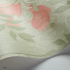 Nautilus behang in Coral and Soft Olive van Cole & Son