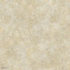 Patina Haze Tapete in Soft Metallic Gold von Cole & Son