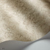 Patina Haze Tapete in Warm Metallic Gilver von Cole & Son