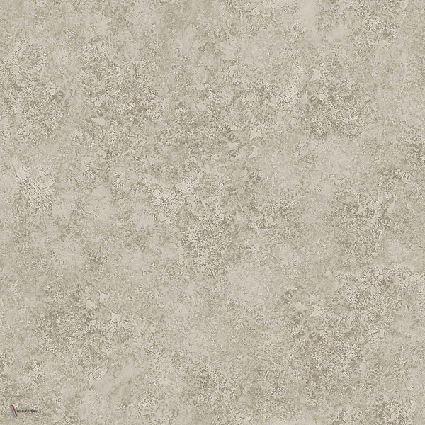 Patina Haze Tapete in Warm Metallic Gilver von Cole & Son