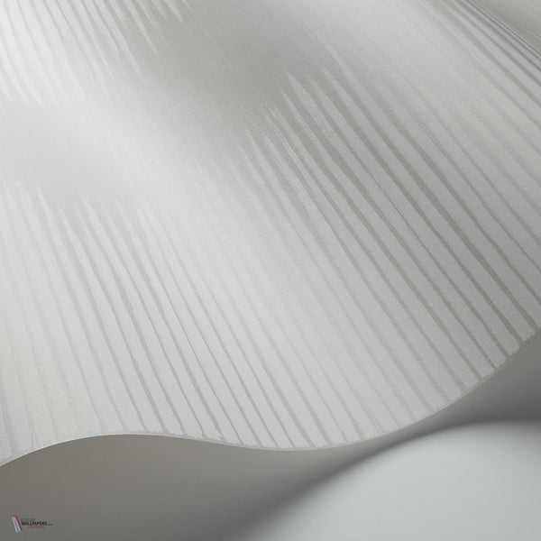 Plume behang in White on Grey van Cole & Son