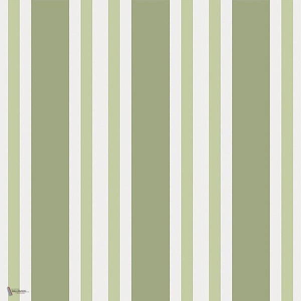 Polo Stripe behang in Olive Green van Cole & Son