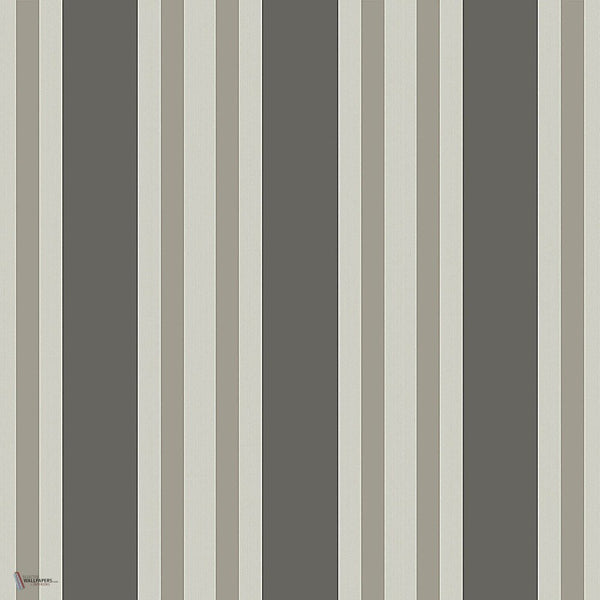 Polo Stripe behang in Soot & Parchment van Cole & Son