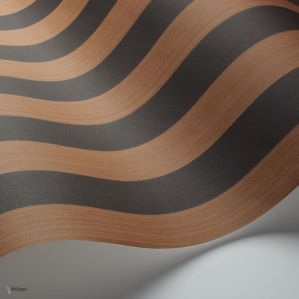 Regatta Stripe behang in Spice & Black van Cole & Son