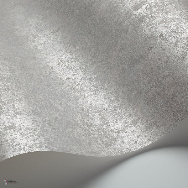 Salvage behang in Metallic Silver van Cole & Son