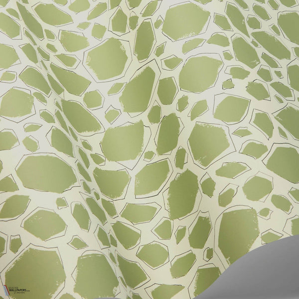 Scattered Ink wallpaper in Olive by Cole & Son