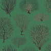 Seafern behang in Charcoal & Metallic Gold on Emerald van Cole & Son