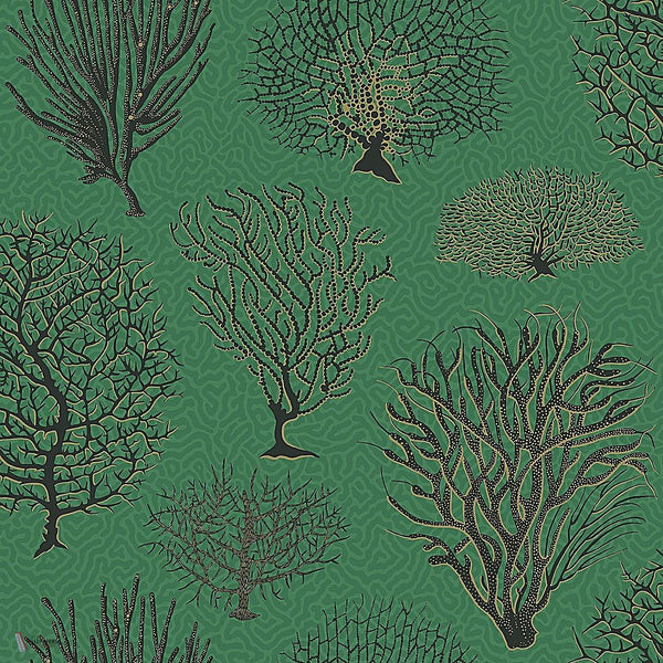 Seafern behang in Charcoal & Metallic Gold on Emerald van Cole & Son