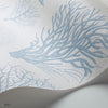 Seafern behang in Ice Blue on Chalk van Cole & Son