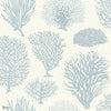 Seafern behang in Ice Blue on Chalk van Cole & Son