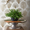Seafern behang van Cole & Son — interieur