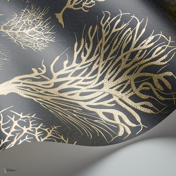 Seafern behang in Metallic Gold on Charcoal van Cole & Son