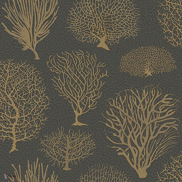 Seafern behang in Metallic Gold on Charcoal van Cole & Son