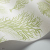 Seafern behang in Olive Green on White van Cole & Son