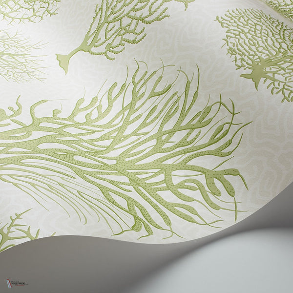 Seafern behang in Olive Green on White van Cole & Son