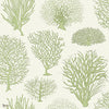 Seafern behang in Olive Green on White van Cole & Son
