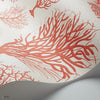 Seafern behang in Rouge on Parchment van Cole & Son