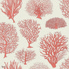 Seafern behang in Rouge on Parchment van Cole & Son