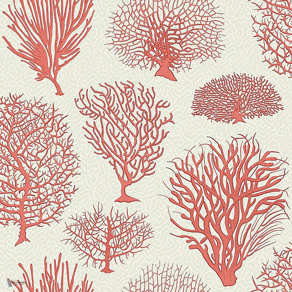 Seafern behang in Rouge on Parchment van Cole & Son