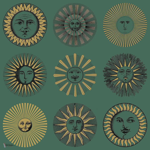 Soli behang Cole & Son — interieur