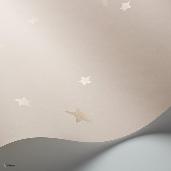 Stars behang in Metallic Gilver on Ballet Slipper van Cole & Son