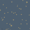 Stars behang in Metallic Gilver on Midnight van Cole & Son