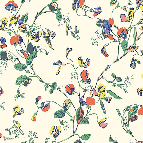 Sweet Pea behang in Autumnal Multi on Cream van Cole & Son