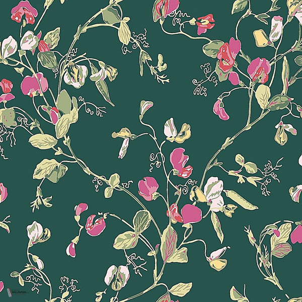 Sweet Pea behang in Cerise & Magenta on Dark Viridian van Cole & Son