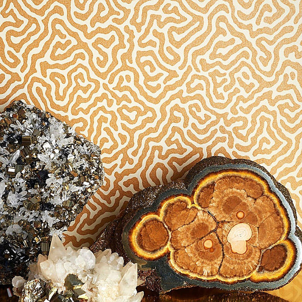 Vermicelli behang van Cole & Son — interieur