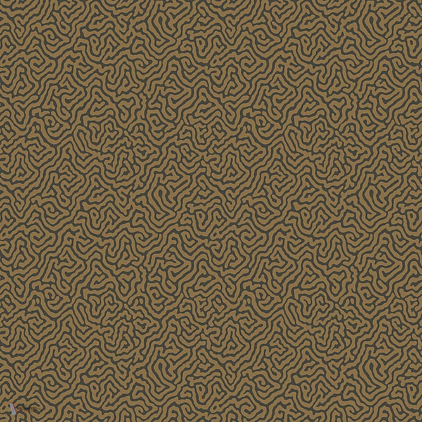 Vermicelli behang in Metallic Bronze on Charcoal van Cole & Son