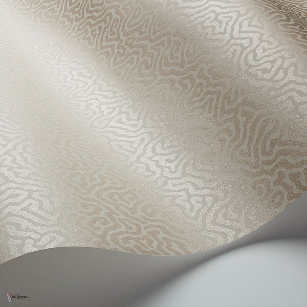 Vermicelli behang in Metallic Gilver on Stone van Cole & Son
