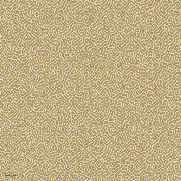 Vermicelli behang in Metallic Gold on Sand van Cole & Son
