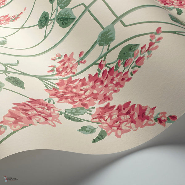 Wisteria behang in Coral & Sage on White van Cole & Son
