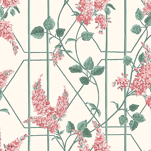 Wisteria behang in Coral & Sage on White van Cole & Son