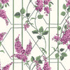 Wisteria behang in Magenta & Leaf Green on Chalk van Cole & Son