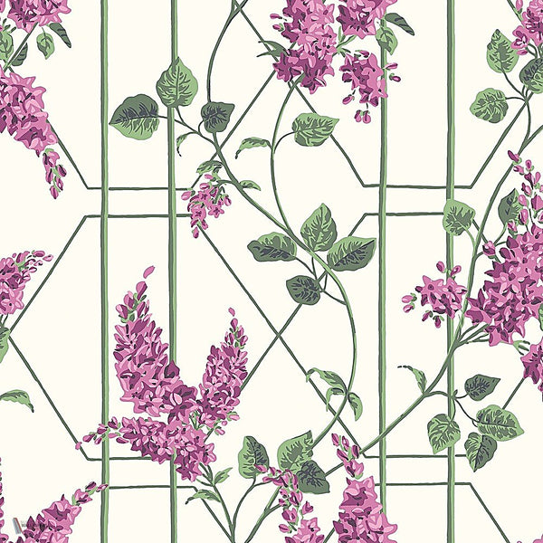 Wisteria behang in Magenta & Leaf Green on Chalk van Cole & Son