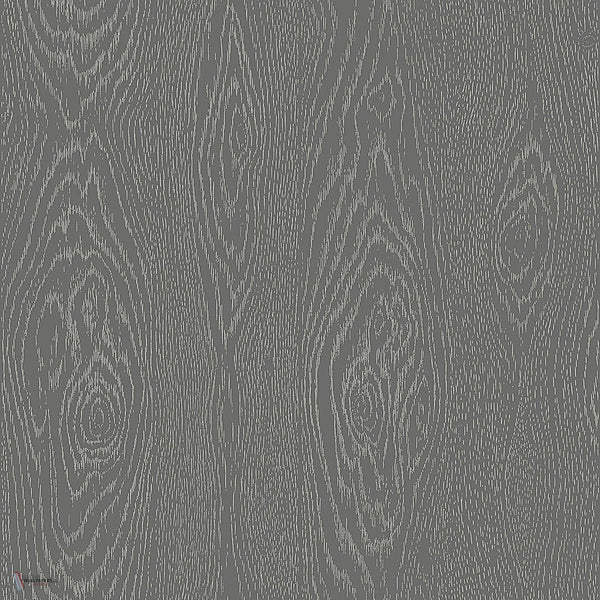 Wood Grain Curio behang in Metallic Silver on Charcoal van Cole & Son