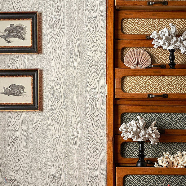 Wood Grain Curio behang van Cole & Son — interieur