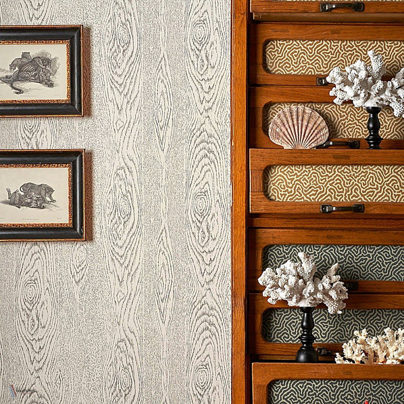 Wood Grain Curio wallpaper by Cole & Son — interior