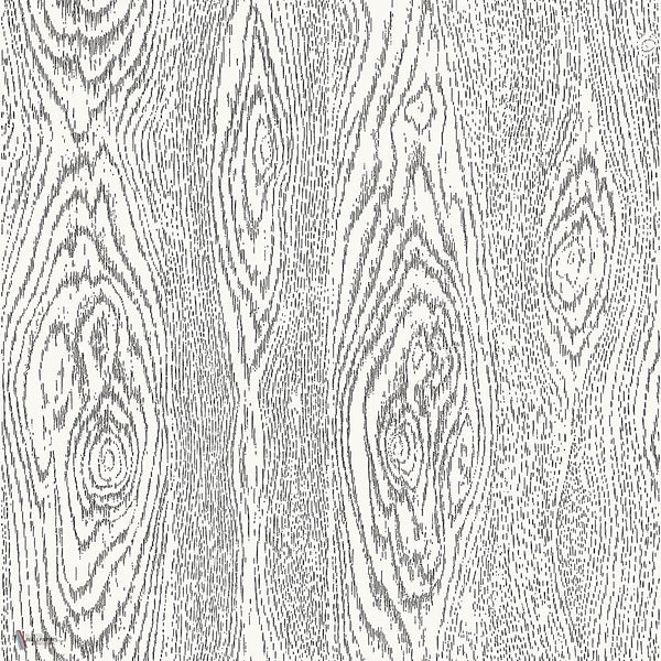 Wood Grain Curio behang in Soot & Snow van Cole & Son