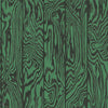 Zebrawood behang in Charcoal on Emerald van Cole & Son