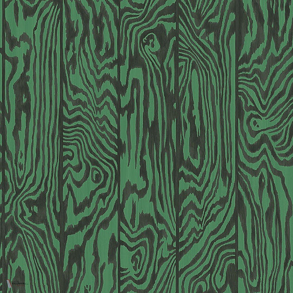 Zebrawood behang in Charcoal on Emerald van Cole & Son