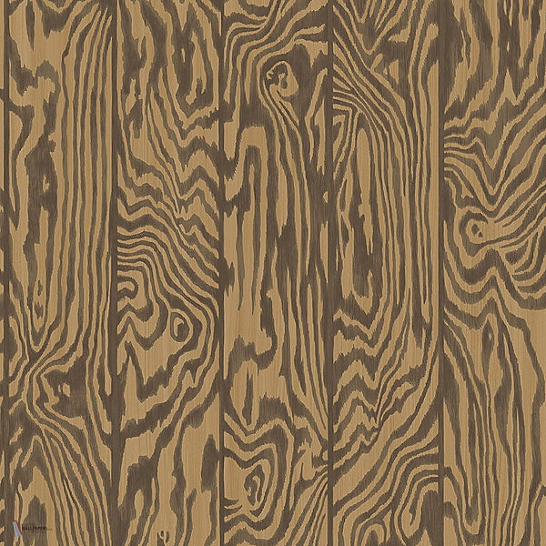 Zebrawood behang in Soot on Spice van Cole & Son