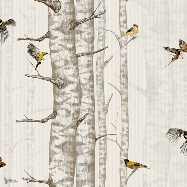 Birch Trees behang in Beige van Coordonne